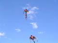 Bondi Kites 2003