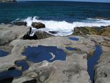 Sculpture Bondi 2009