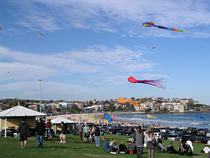 Bondi Kites 2010