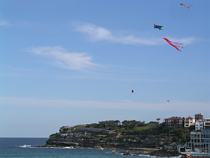 Bondi Kites 2010