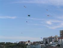 Bondi Kites 2010