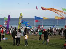 Bondi Kites 2010