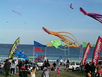 Bondi Kites 2010