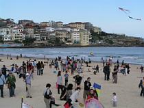 Bondi Kites 2010