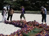 Sculpture Bondi 2010