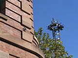 Tram rosette - Old Parcels Post Office, Railway Square Sydney