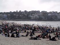 Bondi Breakfast 2011