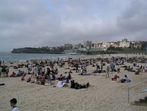 Bondi Nippers 2011