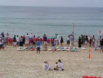 Bondi Breakfast 2011