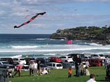 Bondi Kites 2011