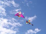 Bondi Kites 2011