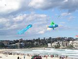 Bondi Kites 2011