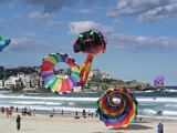 Bondi Kites 2011