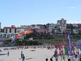 Bondi Kites 2011