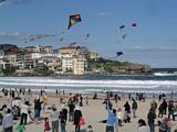 Bondi Kites 2011