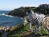 Sculpture Bondi 2011