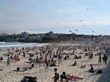 Bondi Kites 2012