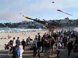 Bondi Kites 2012