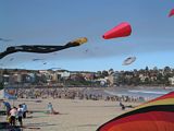 Bondi Kites 2012