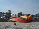 Bondi Kites 2012