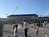 Bondi Kites 2012