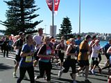 City to Surf 2013