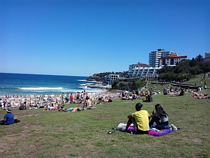 Christmas at Bondi Beach 2015