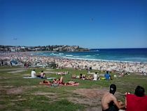 Christmas at Bondi Beach 2015