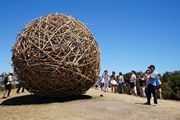 Sculpture Bondi 2016