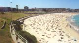 Bondi Beach Picture 2000