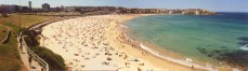 Bondi Beach Panorama