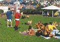 Christmas at Bondi Beach 2000 width=