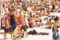 Christmas at Bondi Beach 2001