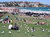 Christmas at Bondi Beach 2006