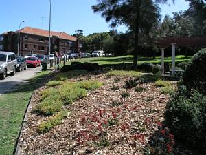 South Bondi Tram Cutting