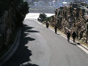 Bronte Cutting for Trams