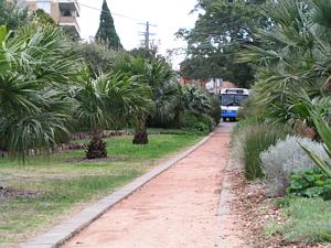 Coogee tram reservation near Dudley Street