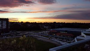 The Tramsheds, Glebe